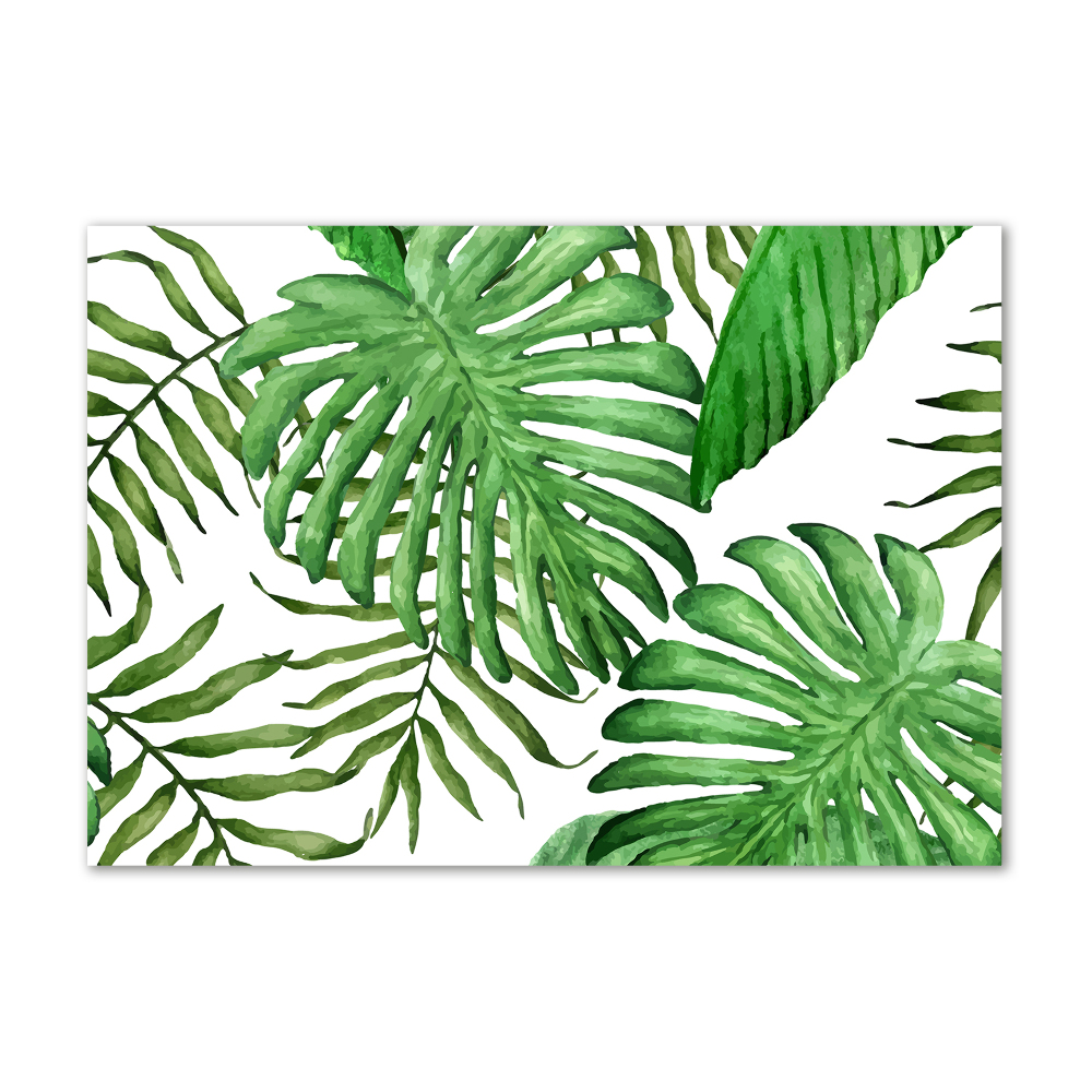 Acrylique tableau Feuilles tropicales vertes