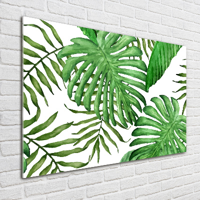 Acrylique tableau Feuilles tropicales vertes