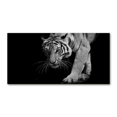 Tableau verre acrylique Tigre