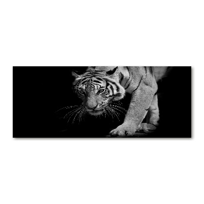 Tableau verre acrylique Tigre