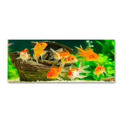 Tableau sur verre acrylique Poisson rouge