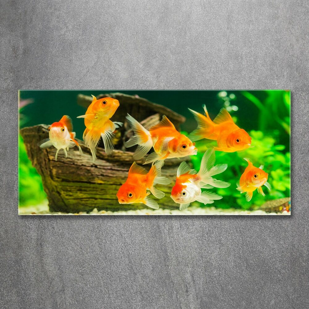 Tableau sur verre acrylique Poisson rouge