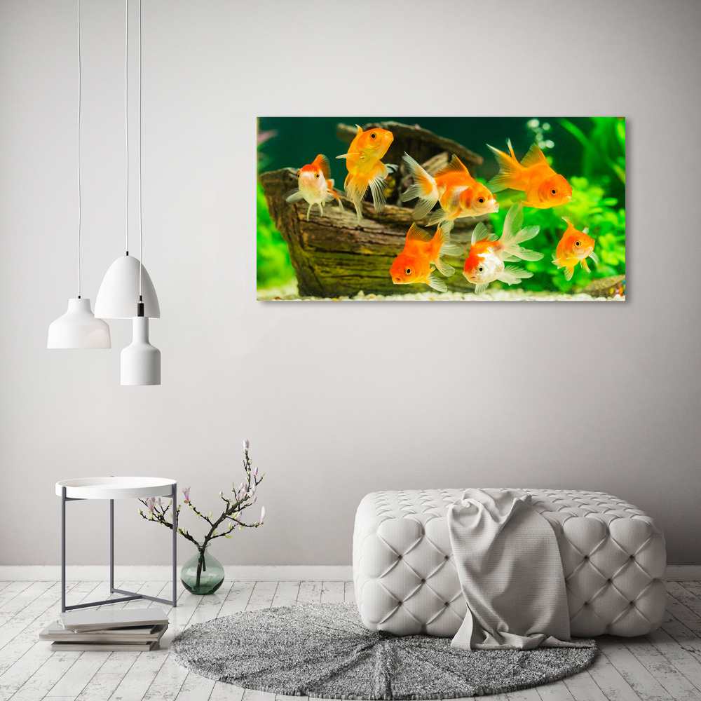 Tableau sur verre acrylique Poisson rouge