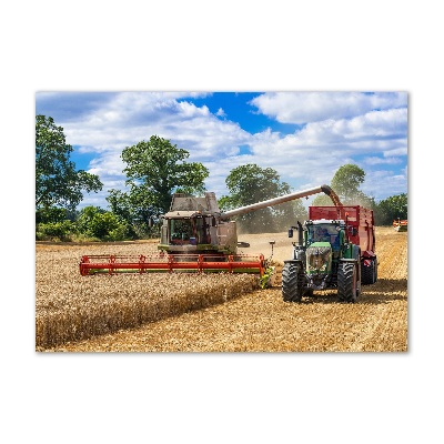 Tableau sur verre acrylique Moissonneuse-batteuse et tracteur