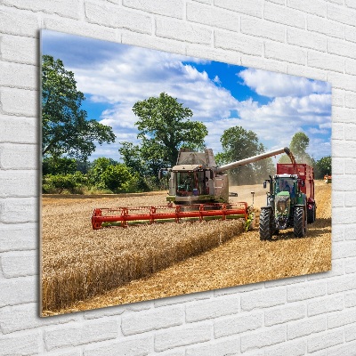 Tableau sur verre acrylique Moissonneuse-batteuse et tracteur