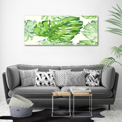 Tableau verre acrylique Feuilles tropicales monstera