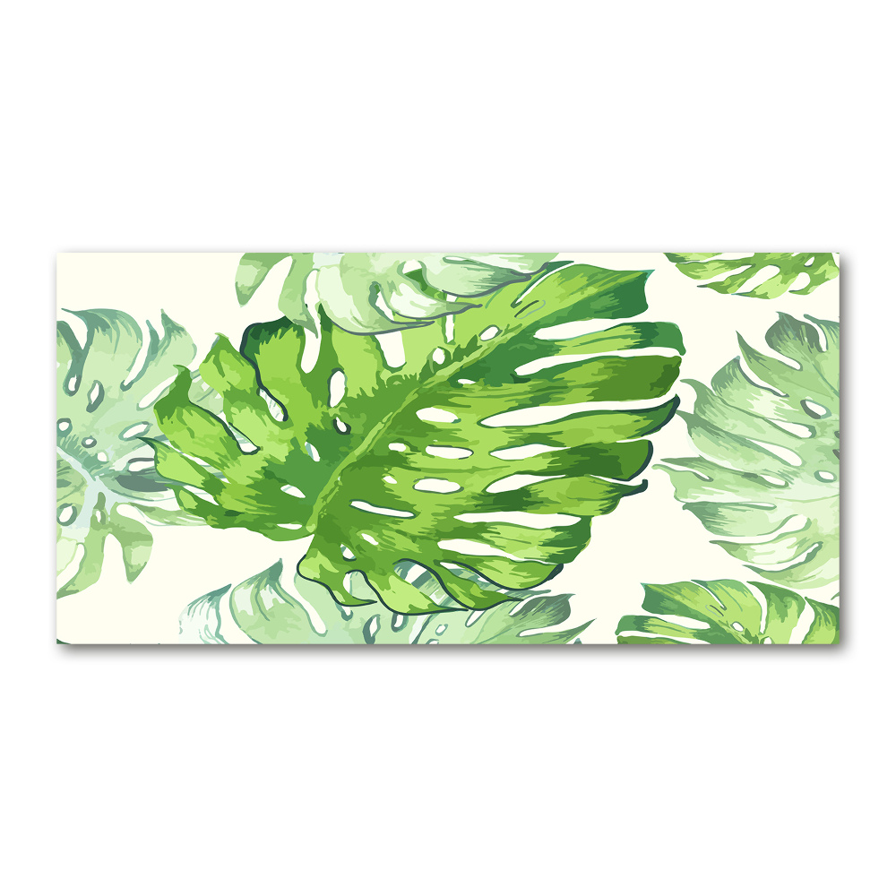 Tableau verre acrylique Feuilles tropicales monstera