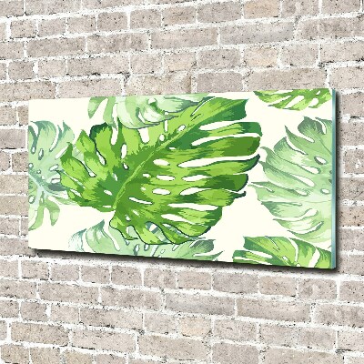 Tableau verre acrylique Feuilles tropicales monstera