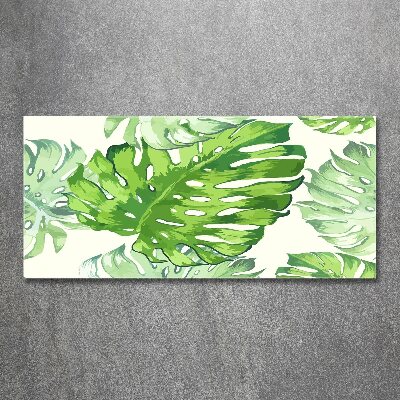 Tableau verre acrylique Feuilles tropicales monstera