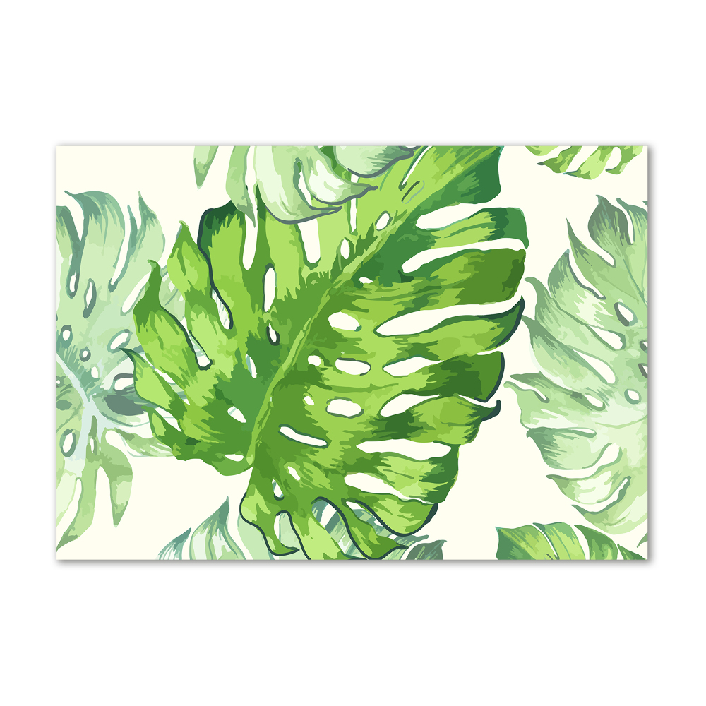 Tableau verre acrylique Feuilles tropicales monstera