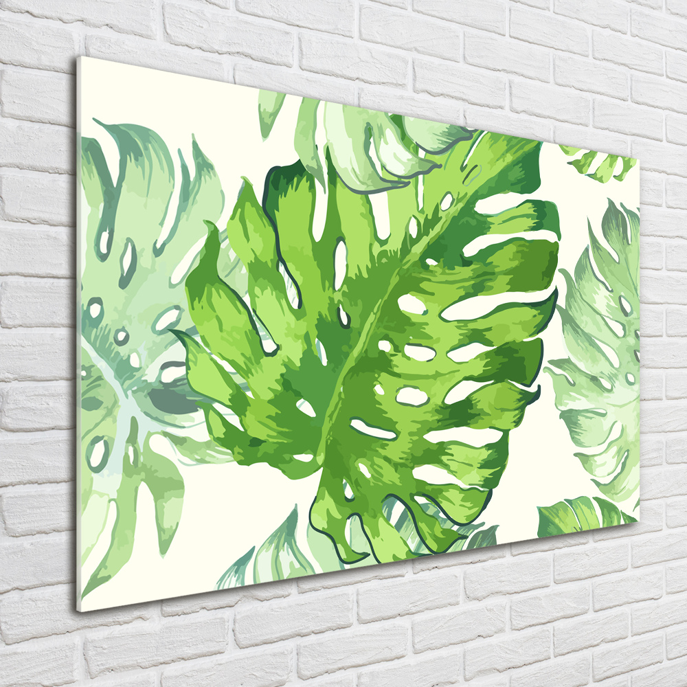 Tableau verre acrylique Feuilles tropicales monstera