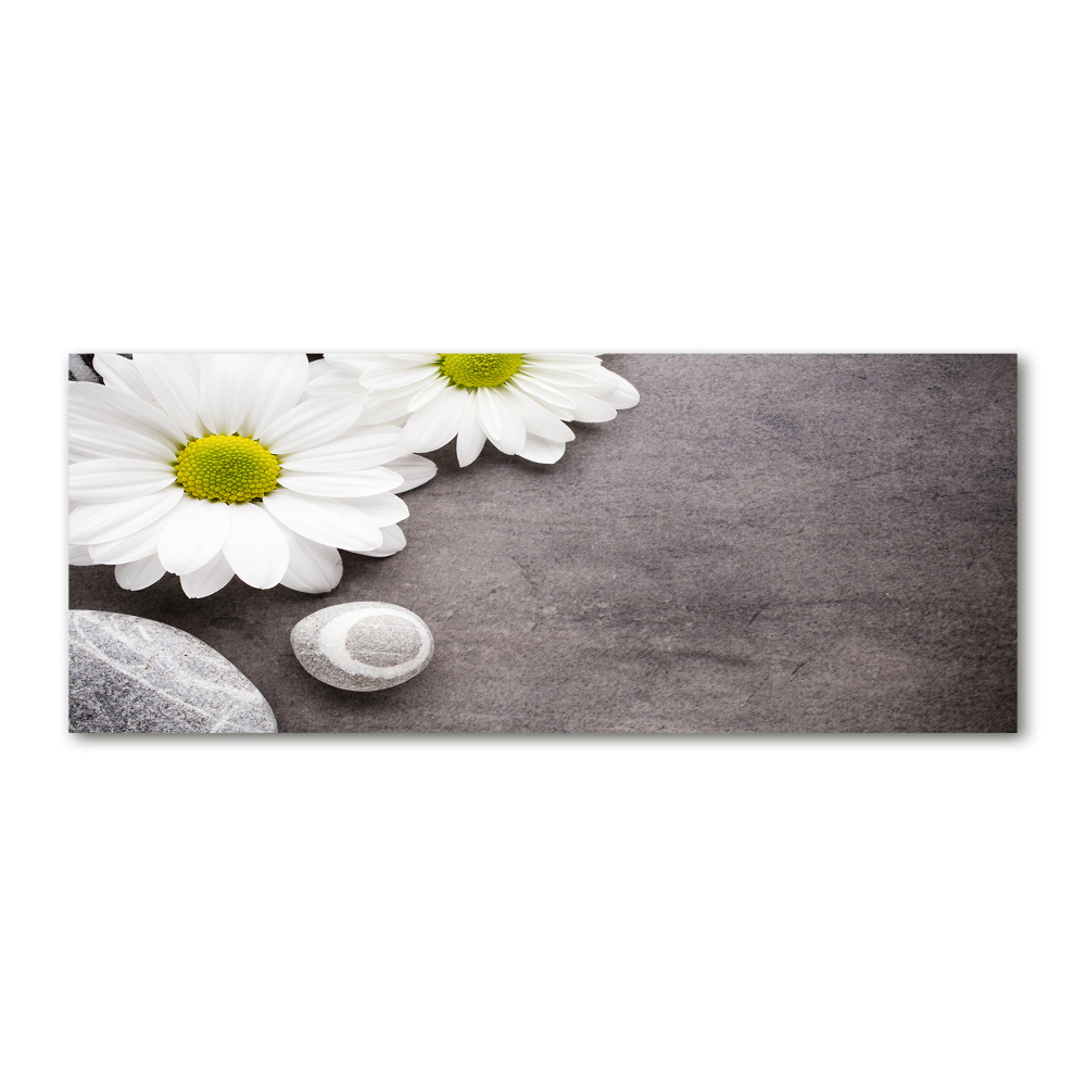 Acrylique tableau Gerbera