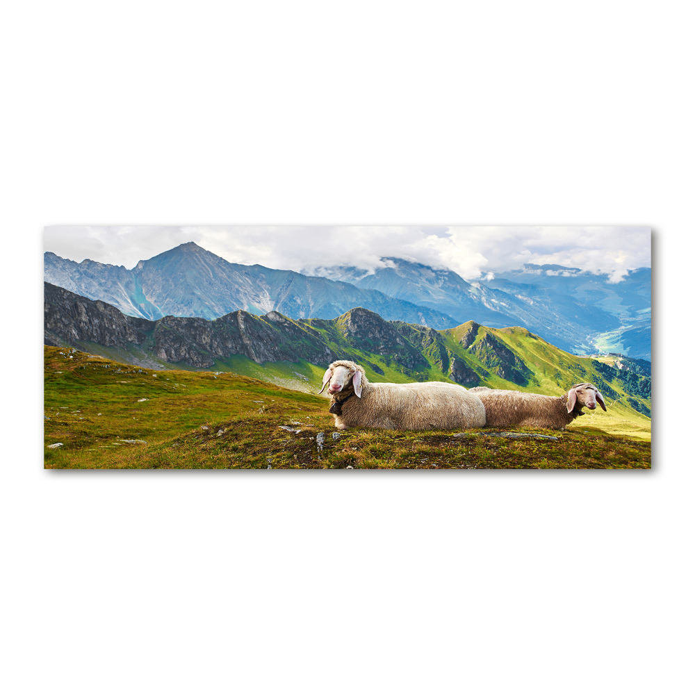 Tableau en acrylique Mouton dans les Alpes