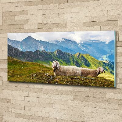 Tableau en acrylique Mouton dans les Alpes