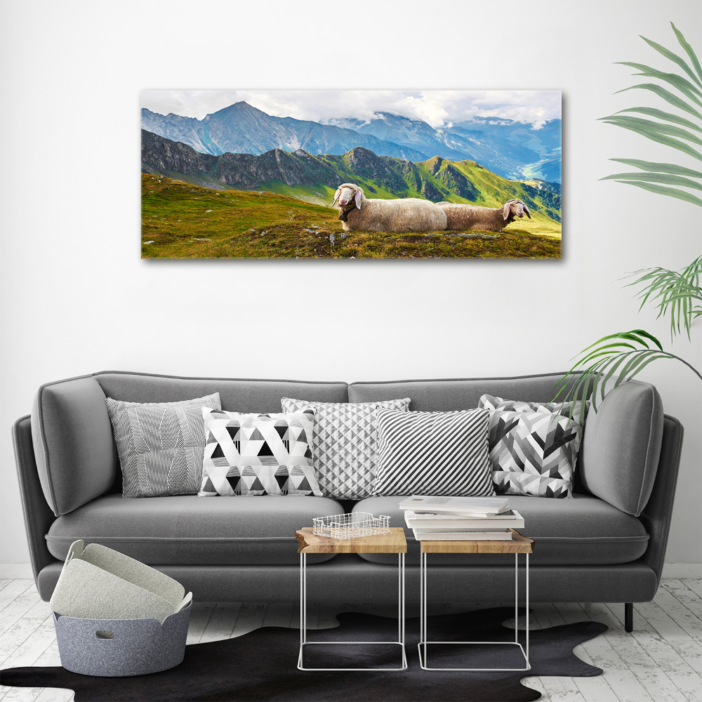 Tableau en acrylique Mouton dans les Alpes