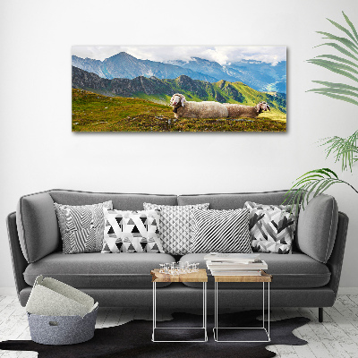 Tableau en acrylique Mouton dans les Alpes