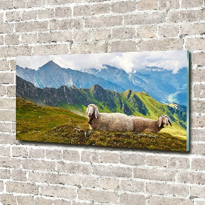 Tableau en acrylique Mouton dans les Alpes