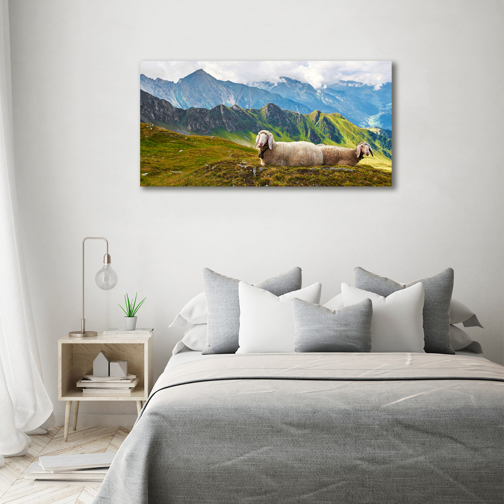 Tableau en acrylique Mouton dans les Alpes