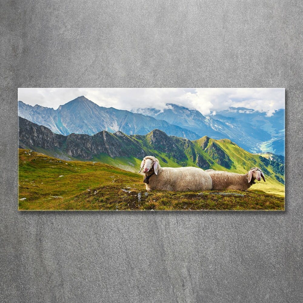 Tableau en acrylique Mouton dans les Alpes