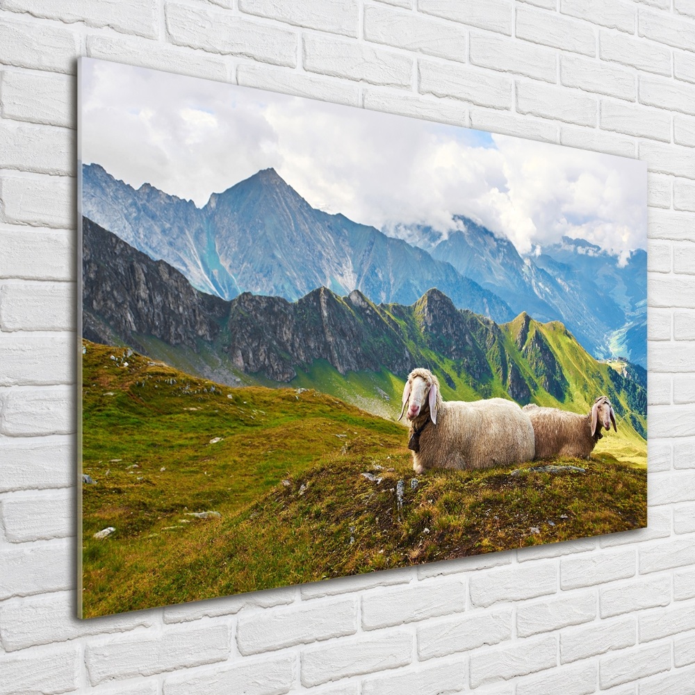 Tableau en acrylique Mouton dans les Alpes