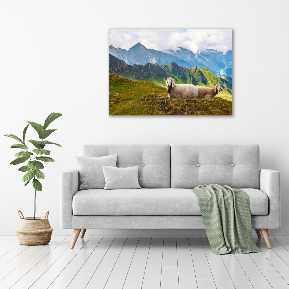 Tableau en acrylique Mouton dans les Alpes