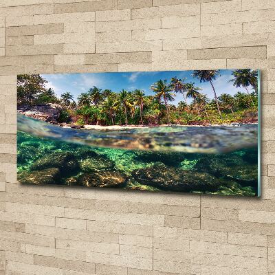 Tableau acrylique Plage tropicale eau claire