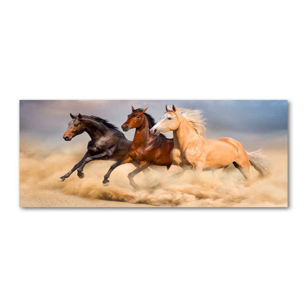 Tableau en acrylique Chevaux de marche