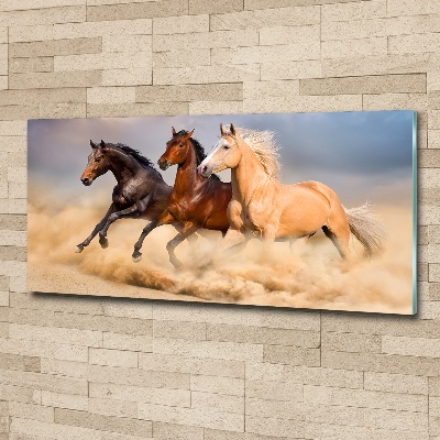 Tableau en acrylique Chevaux de marche