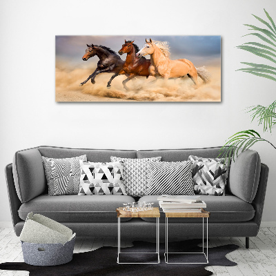 Tableau en acrylique Chevaux de marche