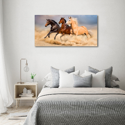 Tableau en acrylique Chevaux de marche