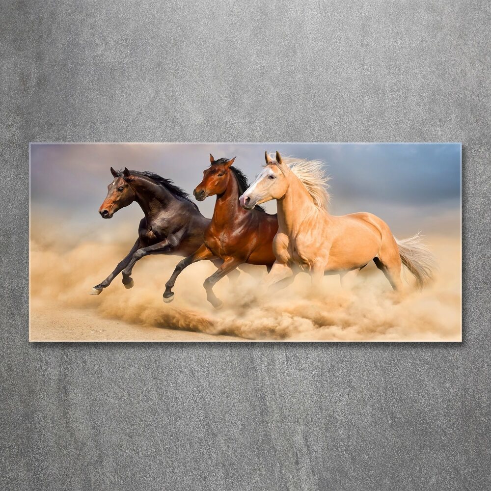 Tableau en acrylique Chevaux de marche