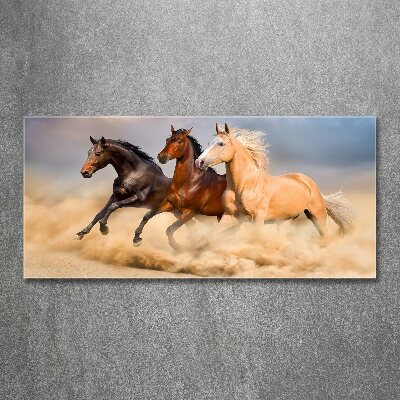 Tableau en acrylique Chevaux de marche