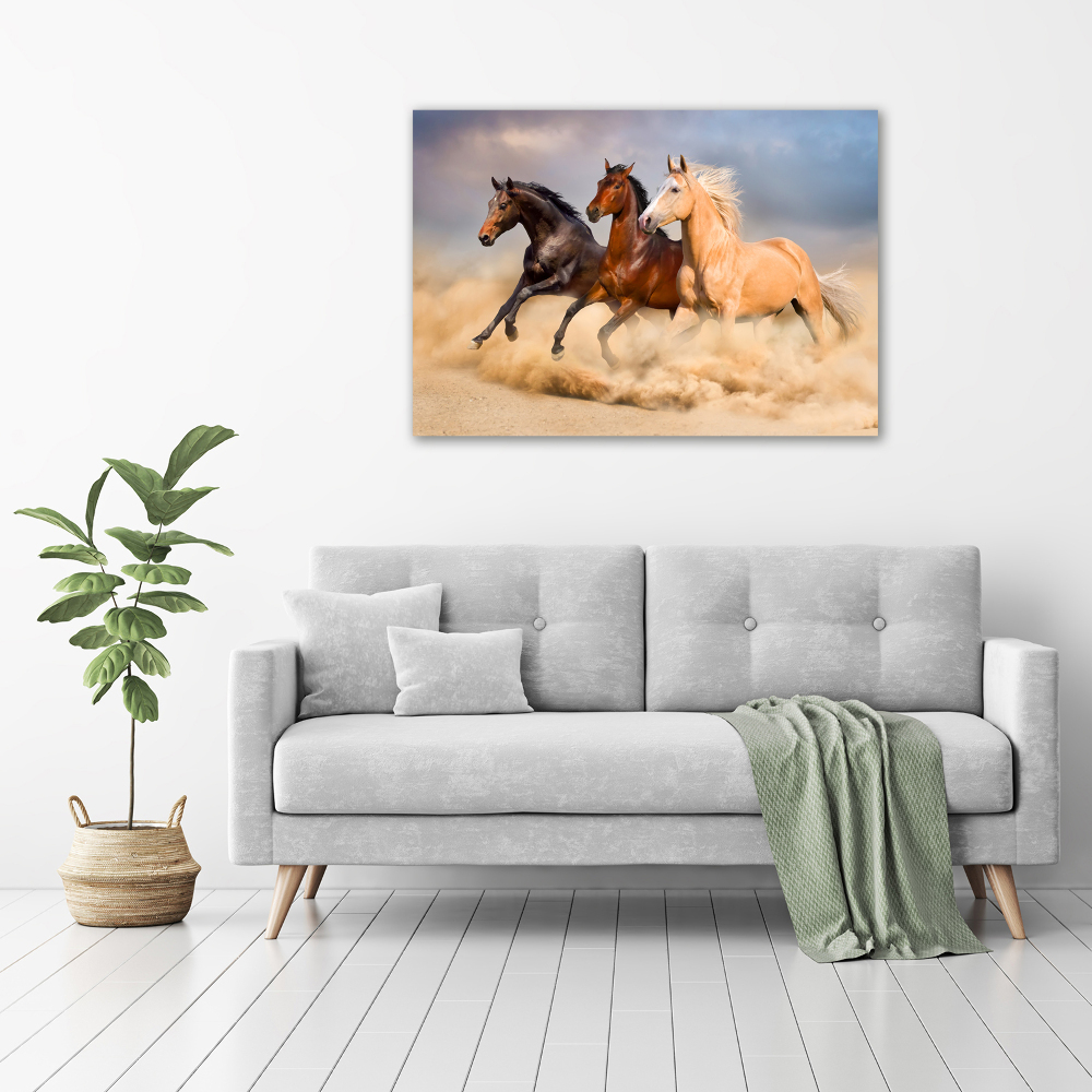 Tableau en acrylique Chevaux de marche