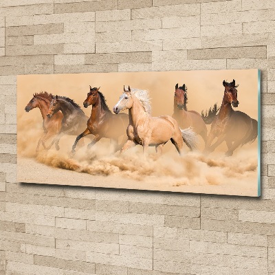 Acrylique tableau Chevaux dans le désert