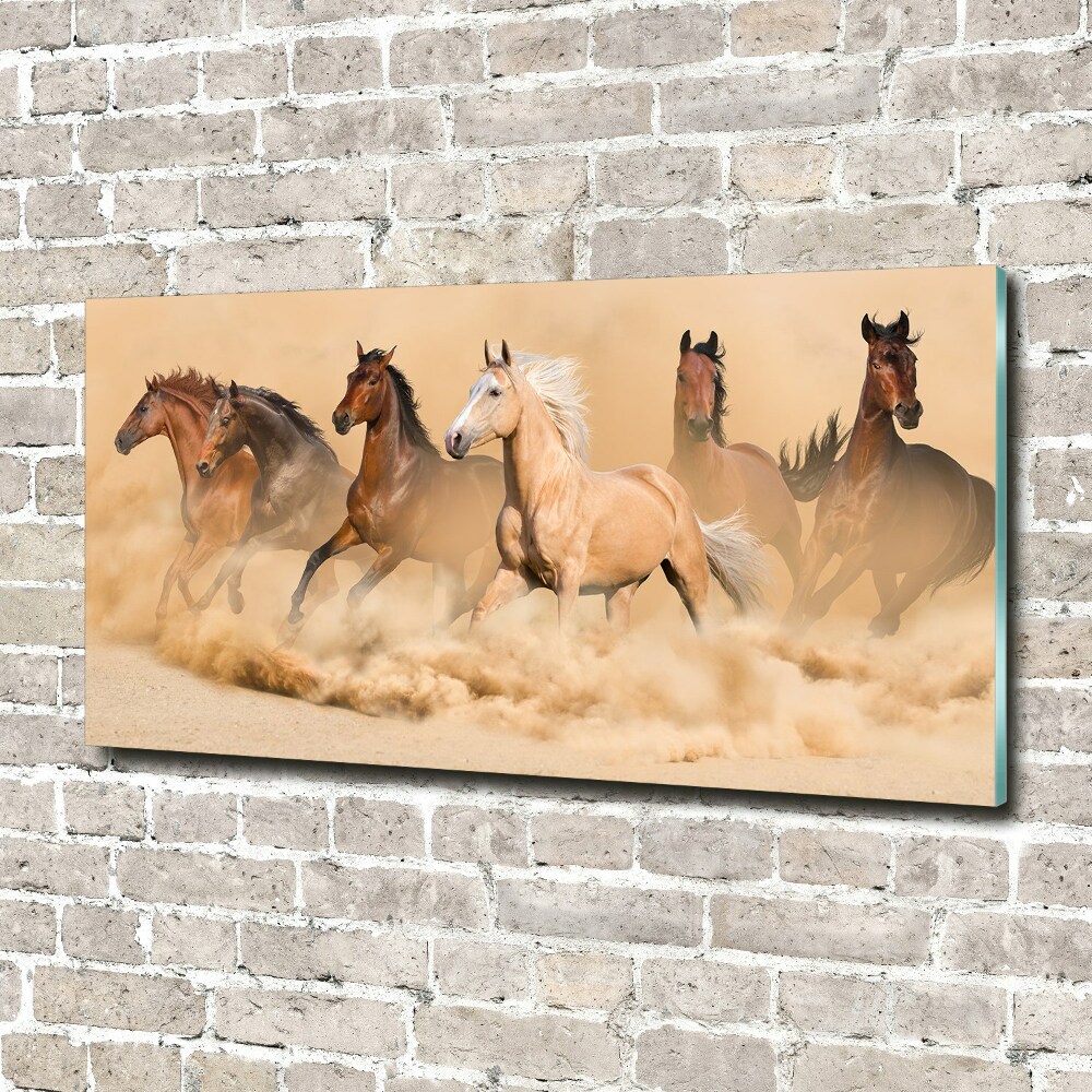 Acrylique tableau Chevaux dans le désert