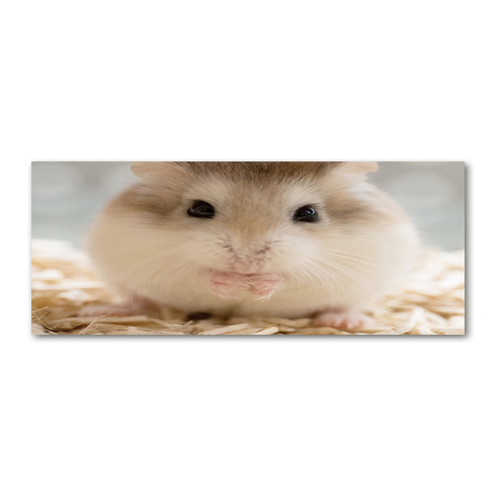 Tableau verre acrylique Hamster