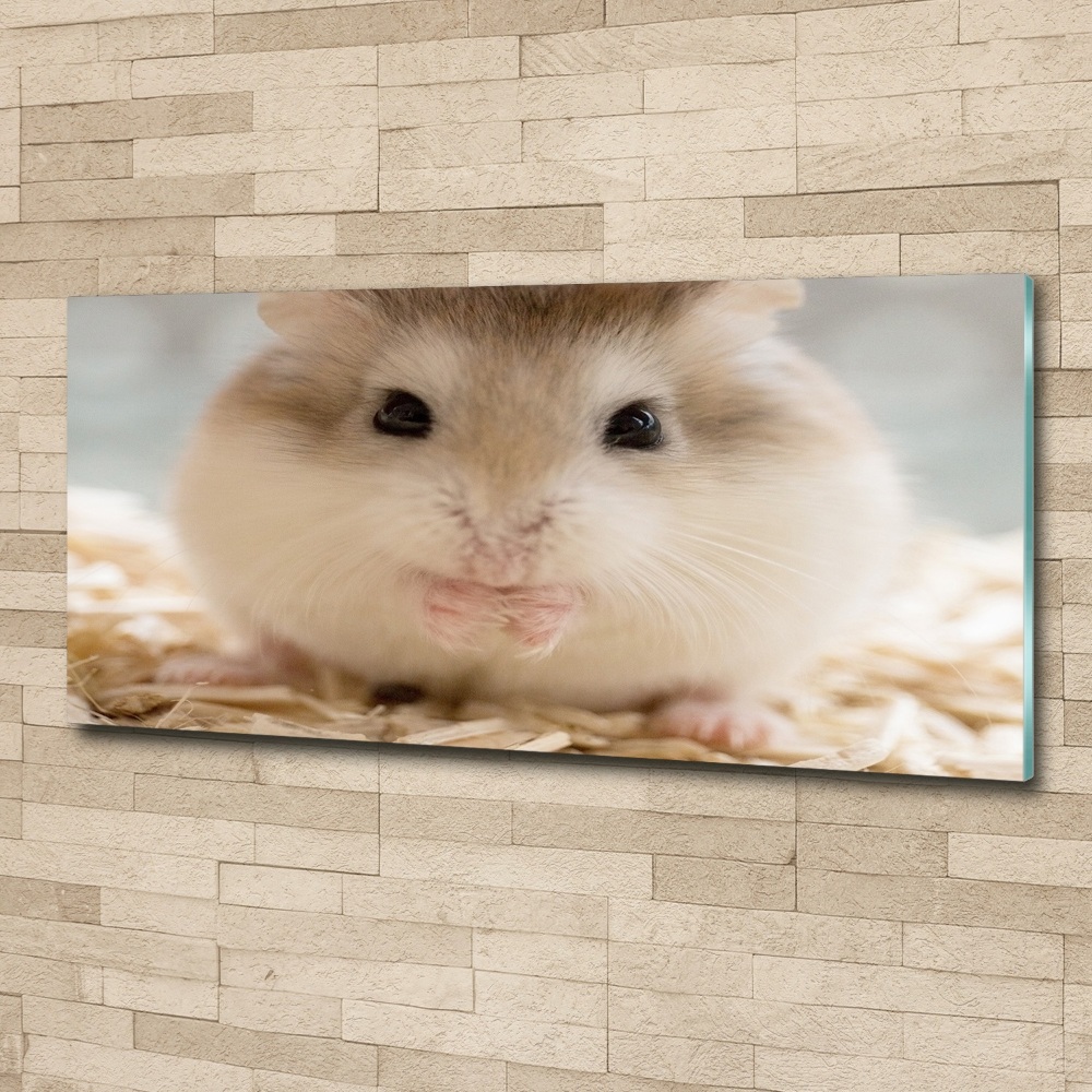 Tableau verre acrylique Hamster