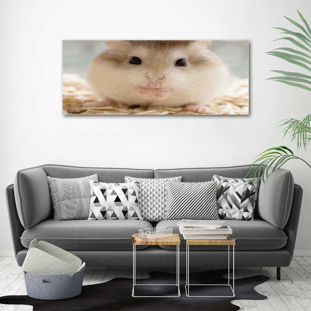 Tableau verre acrylique Hamster