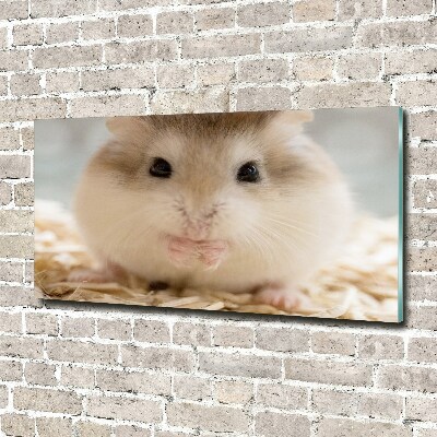 Tableau verre acrylique Hamster