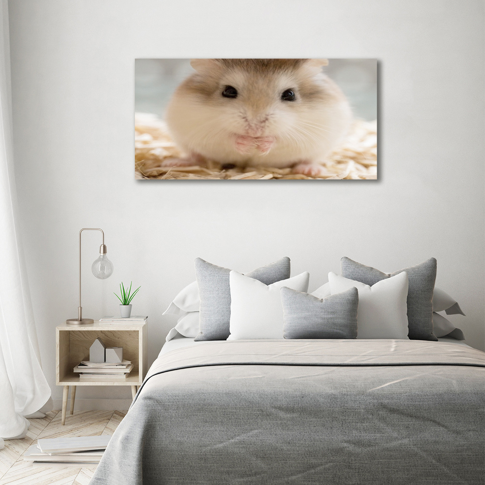 Tableau verre acrylique Hamster