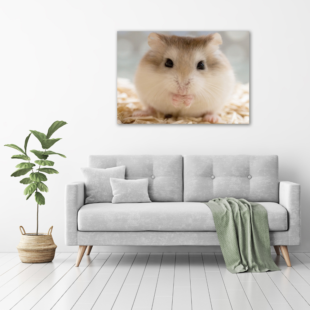 Tableau verre acrylique Hamster