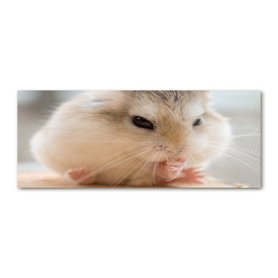 Tableau sur verre acrylique Hamster