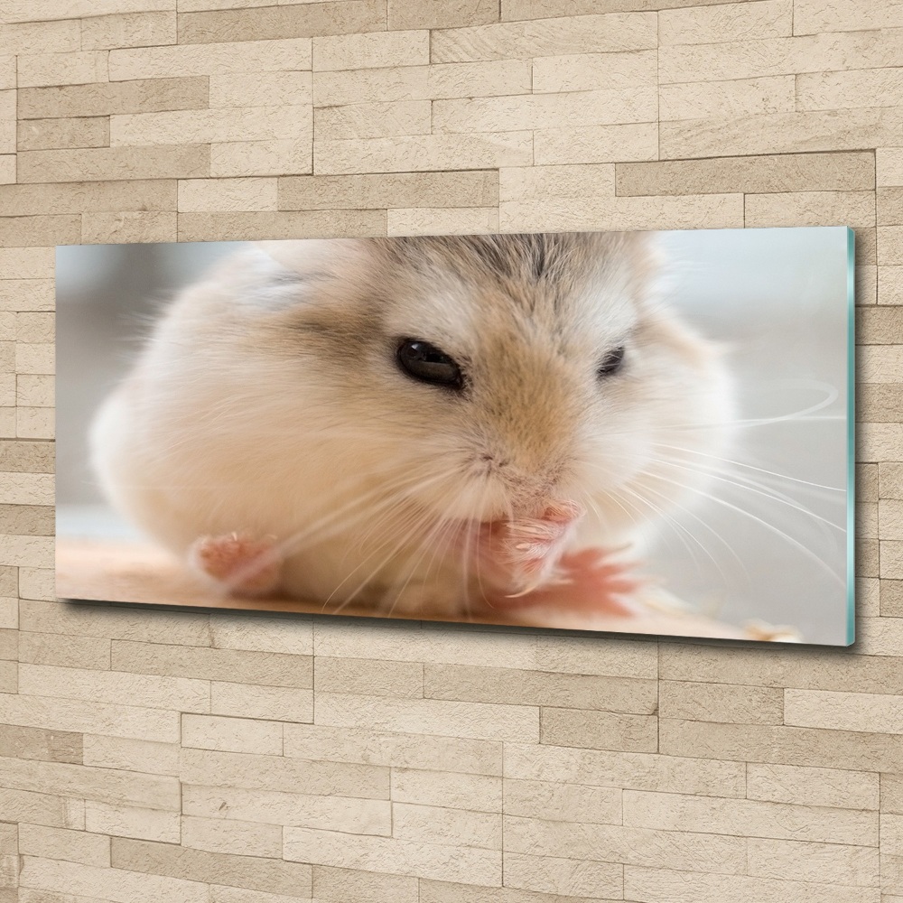 Tableau sur verre acrylique Hamster