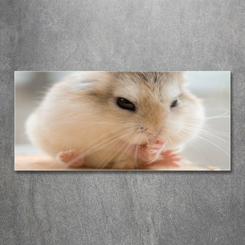 Tableau sur verre acrylique Hamster