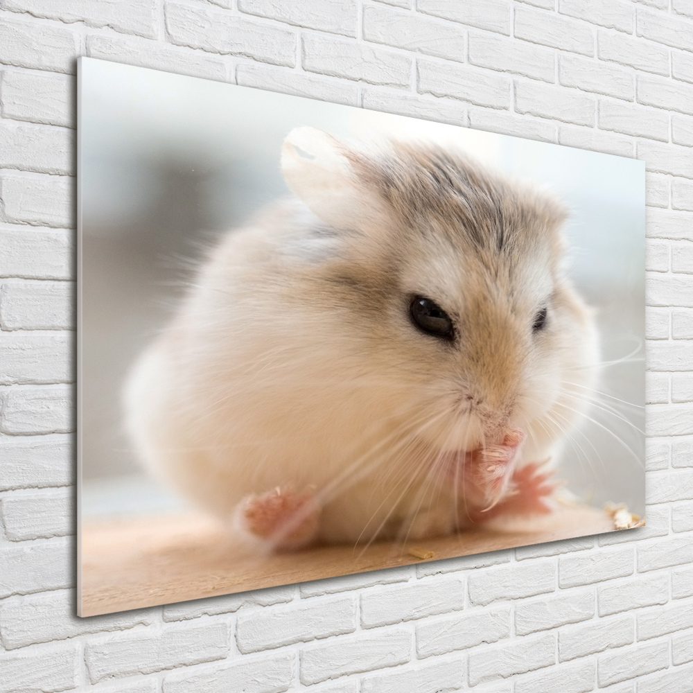 Tableau sur verre acrylique Hamster