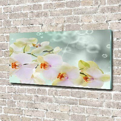 Tableau en acrylique Orchidée blanche