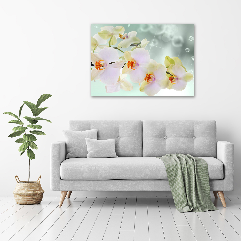 Tableau en acrylique Orchidée blanche