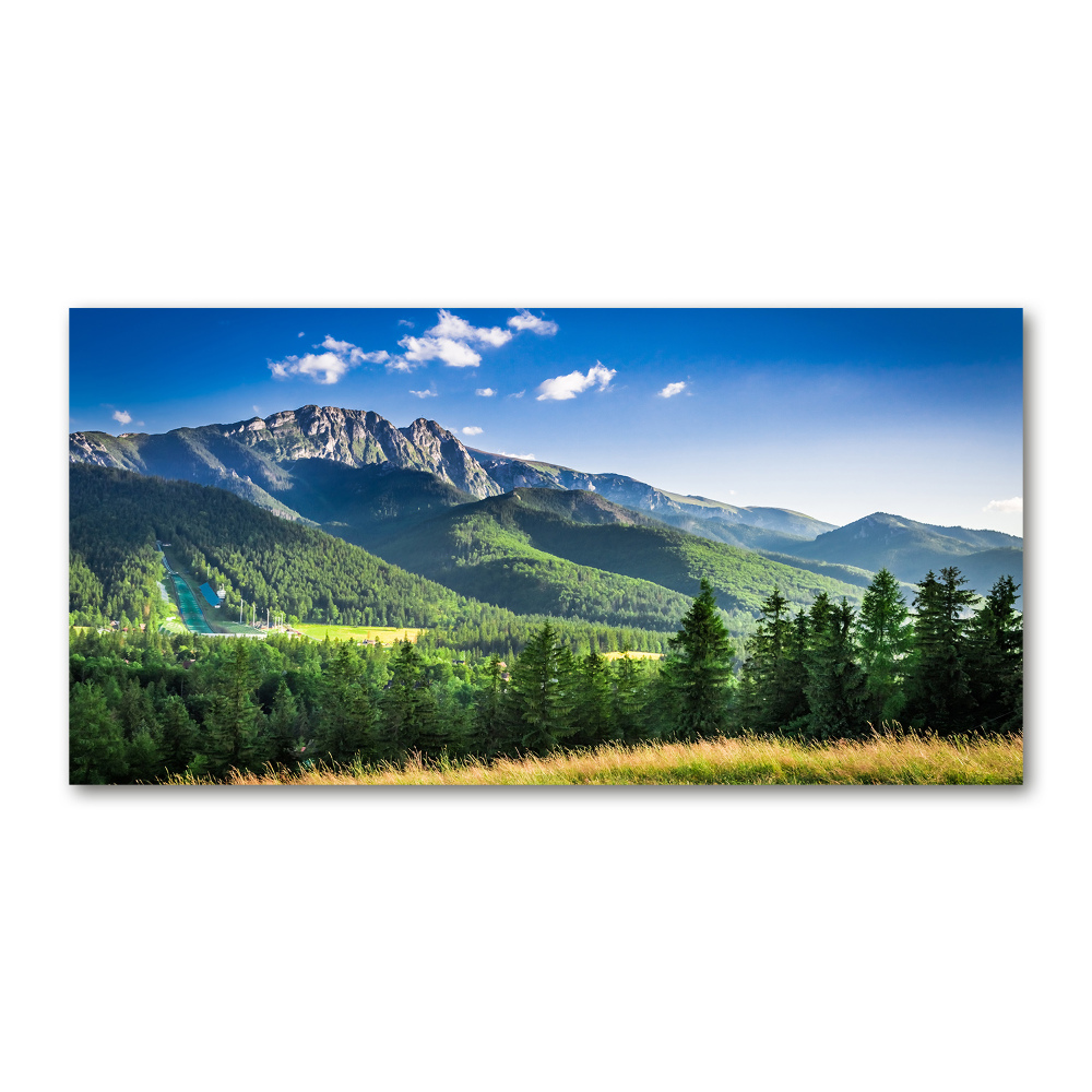 Tableau sur verre acrylique Saut à ski dans les Tatras