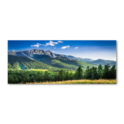 Tableau sur verre acrylique Saut à ski dans les Tatras