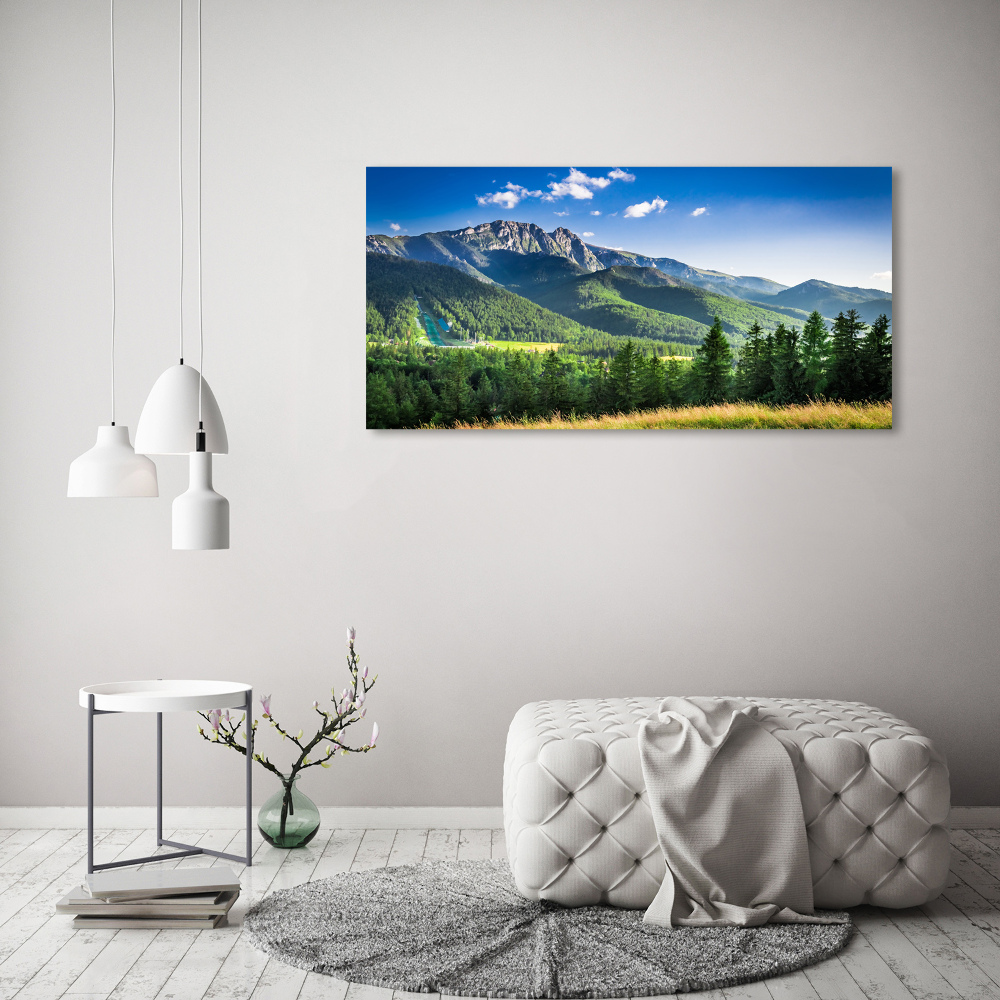 Tableau sur verre acrylique Saut à ski dans les Tatras